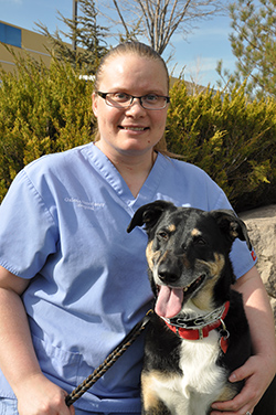 Michael Ford, DVM – Galena Veterinary Hospital